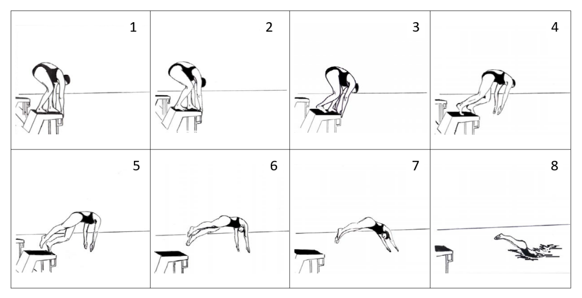 Illustration in acht Bildern: Springerin vom Sprungbrett, Absprung bis Eintauchen ins Wasser.